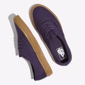 Vans Erkek Spor Ayakkabı Authentic Mor | 61865-794